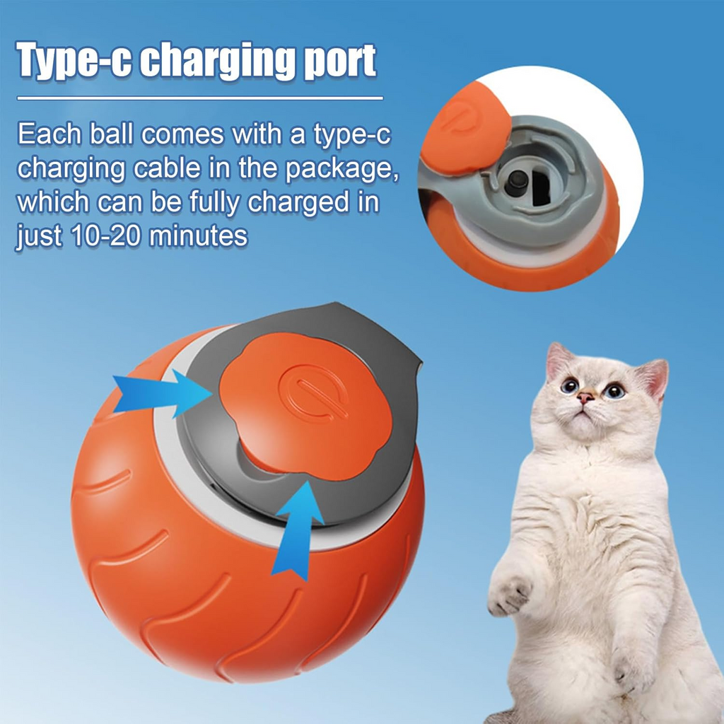 The Zoomies Ball — Self-Rolling Cat Toy